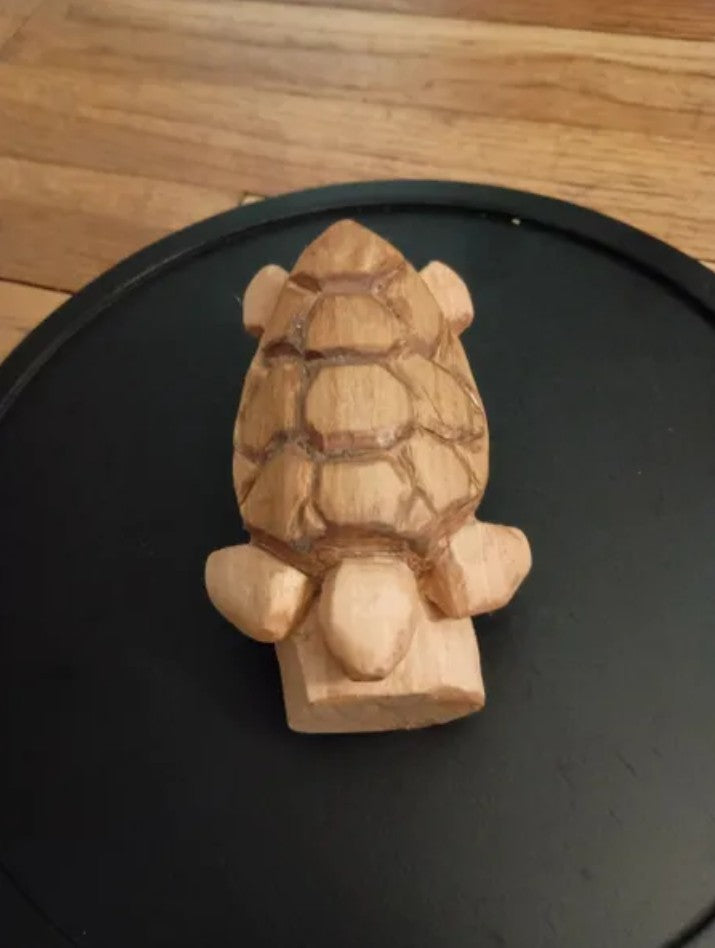 turtle