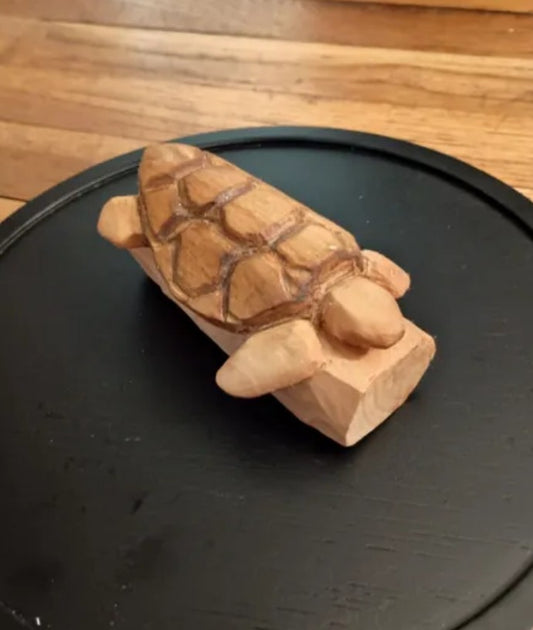 turtle